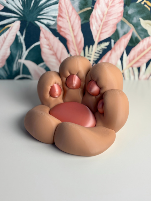 Kocia Łapka bez pazurów, Beżowo-różowa SILK Kocia Łapka bez pazurów, Beżowo-różowa SILK